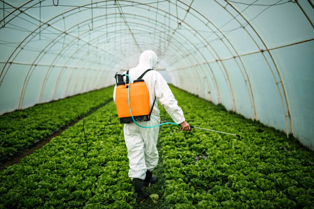 Best Pest Control Cost  in Cary, NC