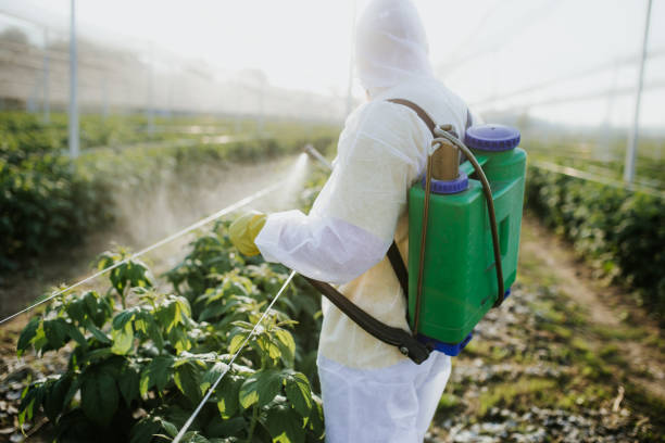 Pest Control Cost in Cary, NC
